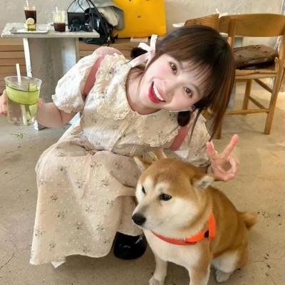 双龙会